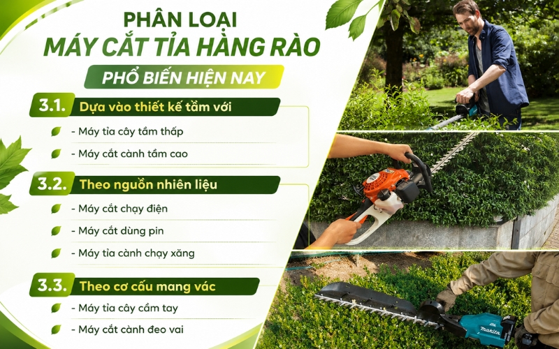 Phân loại máy cắt tỉa hàng rào phổ biến hiện nay