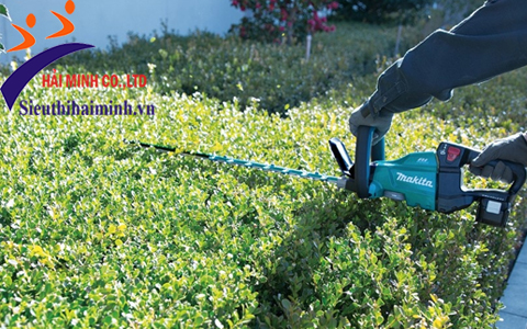 Sử dụng máy cắt tỉa hàng rào Makita DUH601Z 