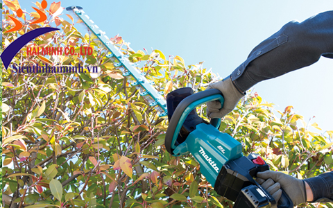 Sử dụng máy cắt tỉa hàng rào Makita DUH602Z