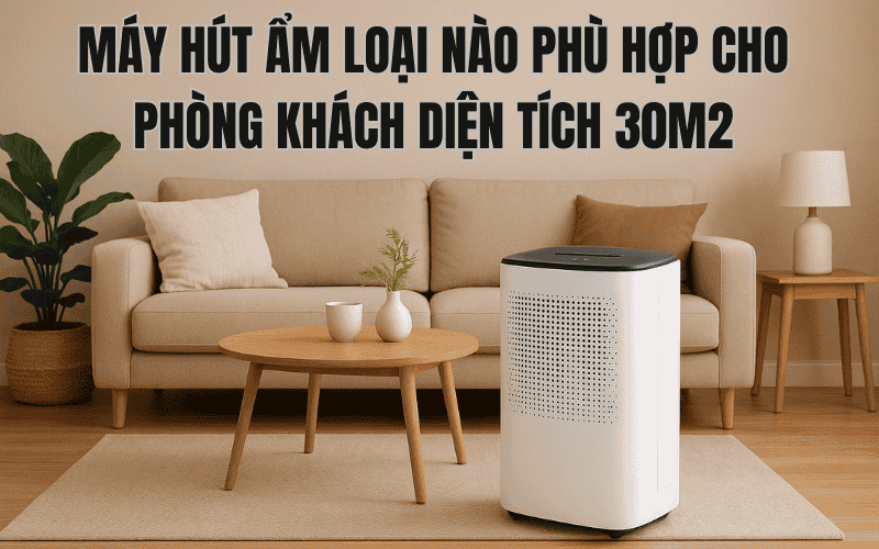 Máy Hút Ẩm Loại Nào Phù Hợp Cho Phòng Khách Diện Tích 30m2