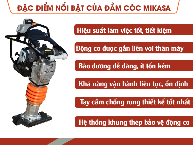 Đặc điểm nổi bật của đầm cóc Mikasa