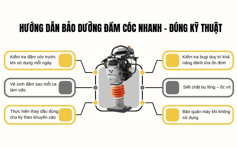 Hướng dẫn bảo dưỡng đầm cóc nhanh – đúng kỹ thuật
