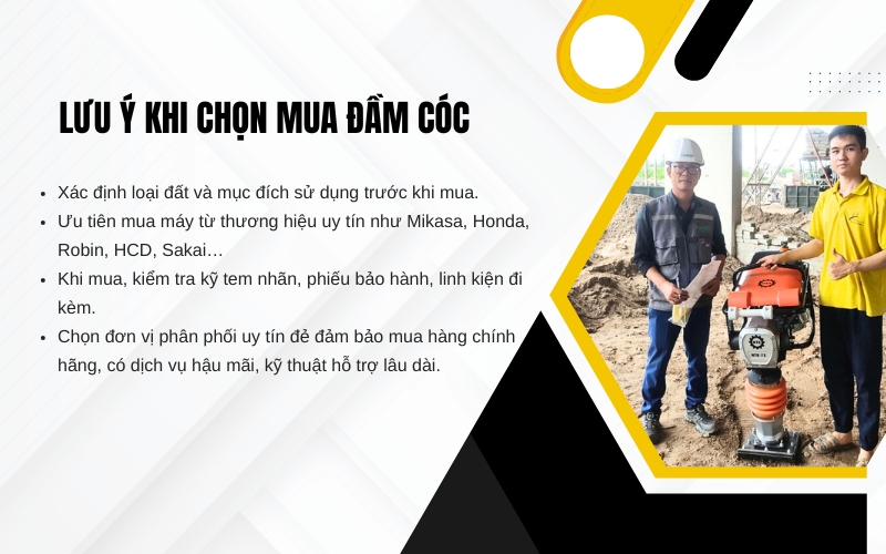 Một số lưu ý khi chọn mua đầm cóc