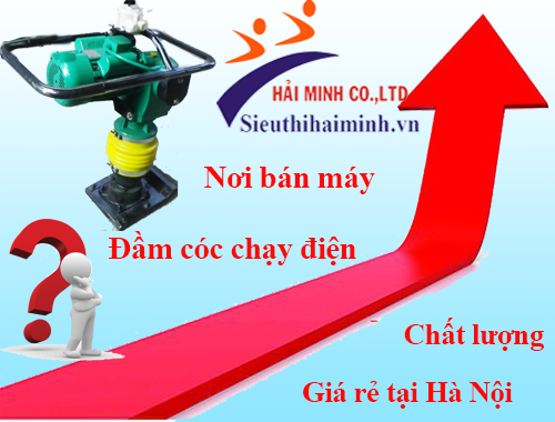 Nơi bán máy đầm cóc chạy điện chất lượng, giá rẻ tại Hà Nội