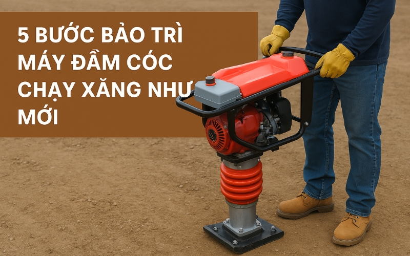 5 bước bảo trì máy đầm cóc chạy xăng như mới - không cần thợ