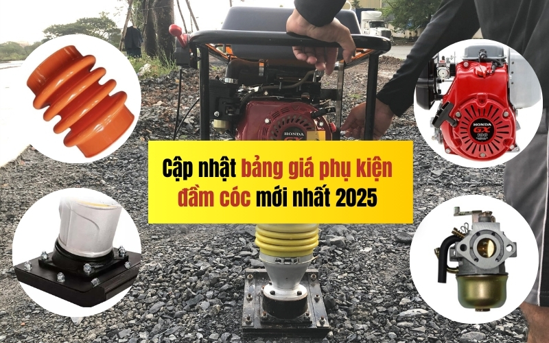 Cập nhật bảng giá phụ kiện đầm cóc mới nhất