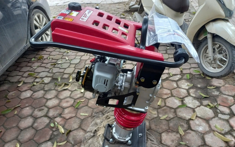 Những đặc điểm nổi bật của đầm cóc