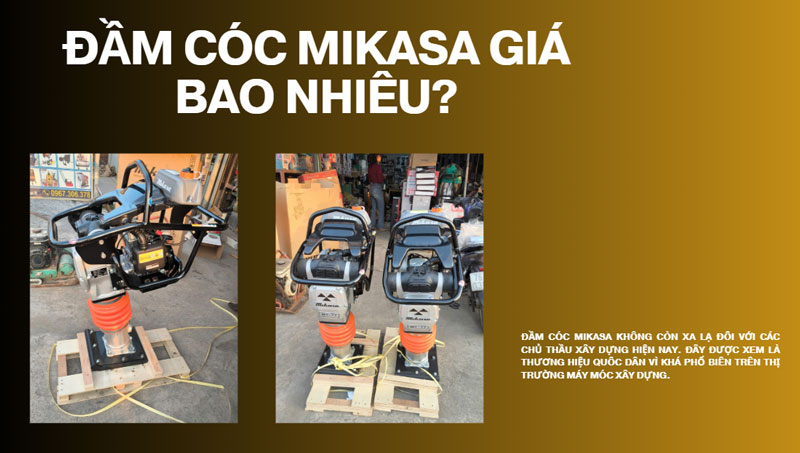 Đầm cóc Mikasa giá bao nhiêu?