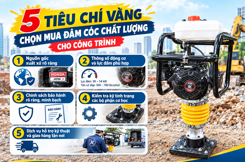 Hà Nội ở đâu bán đầm cóc uy tín giá tốt?