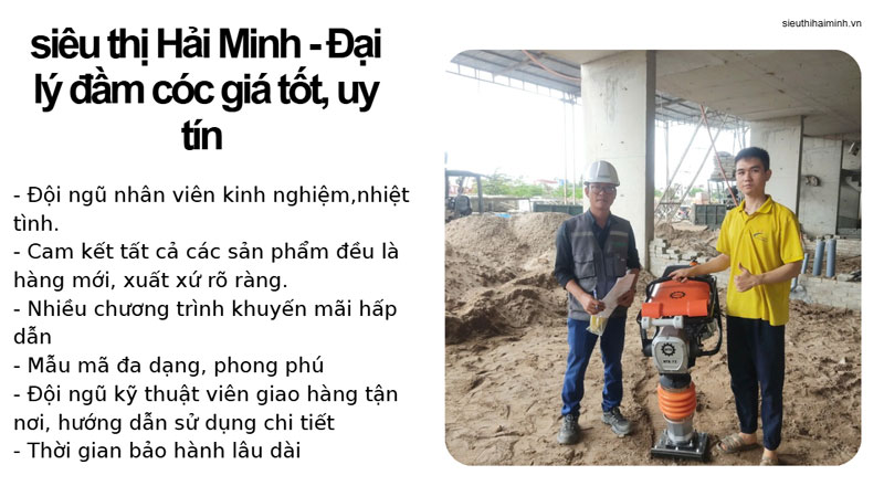 Những loại máy đầm cóc đang HOT nhất hiện nay