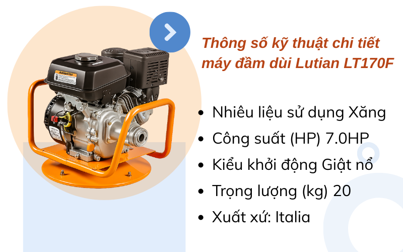 Thông số kỹ thuật chi tiết máy đầm dùi Lutian LT170F: