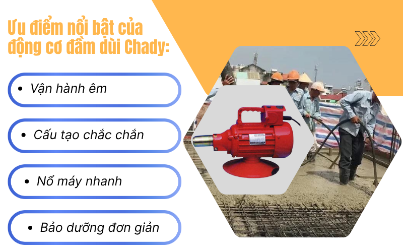 Động cơ đầm dùi Chady