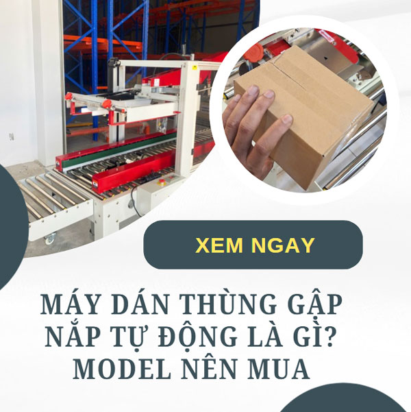 Máy dán thùng gập nắp tự động là gì? model nên mua