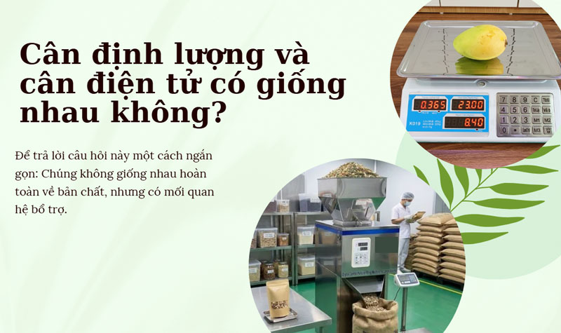 Cân định lượng và cân điện tử có giống nhau không?
