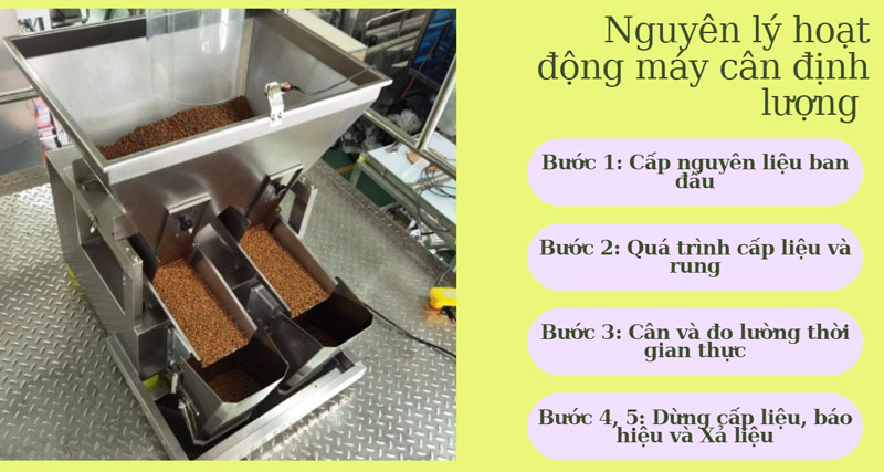 Máy định lượng là gì? Cấu tạo và nguyên lý hoạt động chi tiết