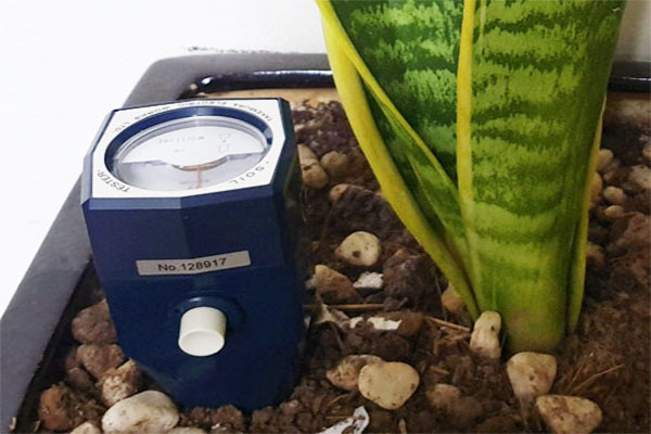 Máy đo pH và độ ẩm đất Takemura DM-15