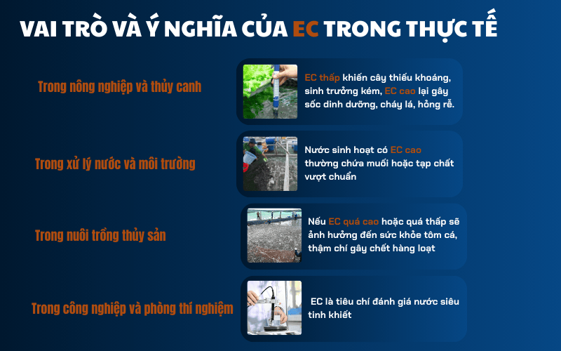Vai trò và ý nghĩa của EC trong thực tế