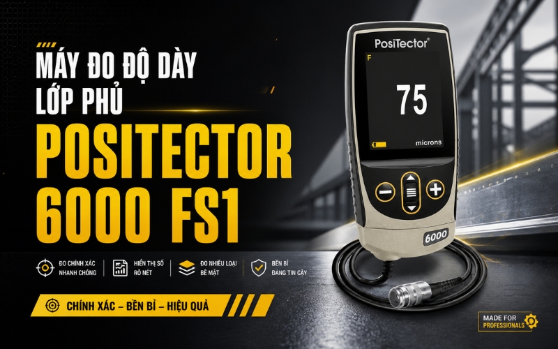 Máy đo độ dày lớp phủ positector 6000 FS1