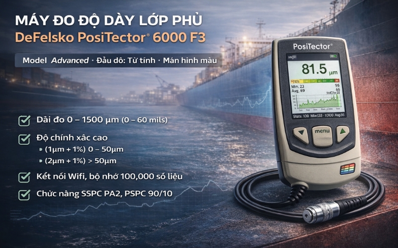 Thiết bị đo độ dày sơn tàu DeFelsko PosiTector 6000 F3