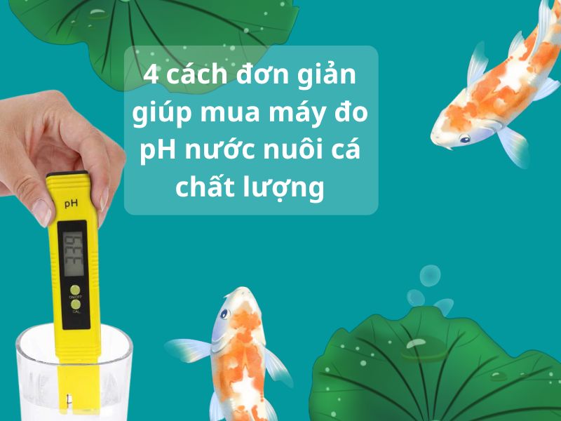 4 cách đơn giản giúp mua máy đo pH nước nuôi cá chất lượng