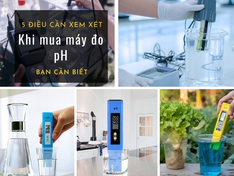 5 điều cần xem xét khi mua máy đo pH bạn cần biết