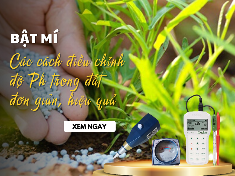 Bật Mí Các Cách Điều Chỉnh Độ Ph Trong Đất Đơn Giản, Hiệu Quả