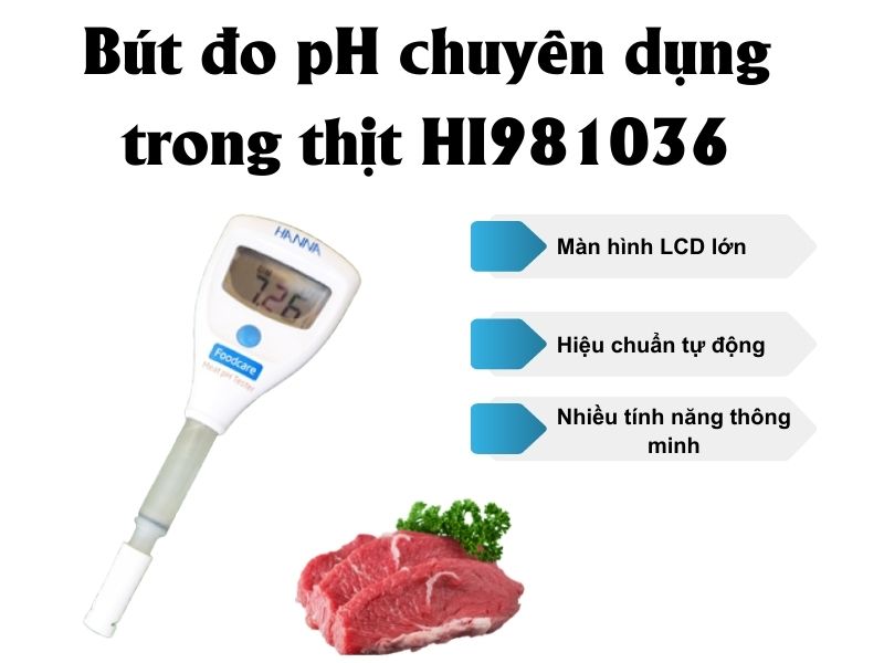 bút đo pH thực phẩm, đo pH thịt HI981036