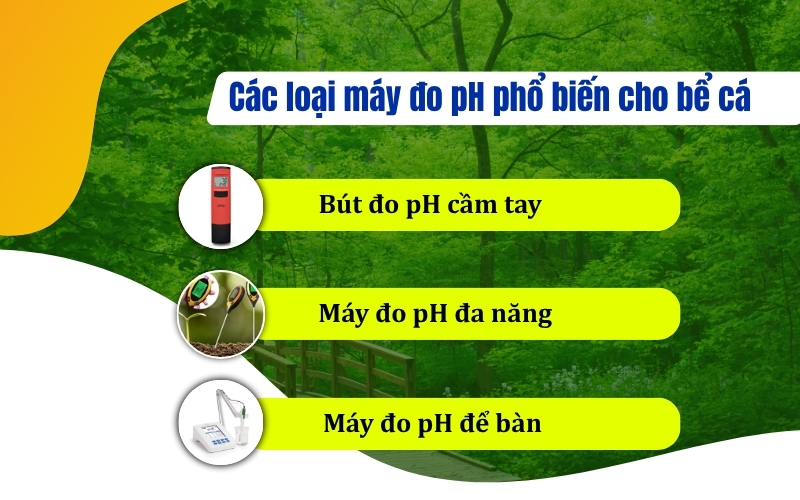 Các loại máy đo pH phổ biến cho bể cá
