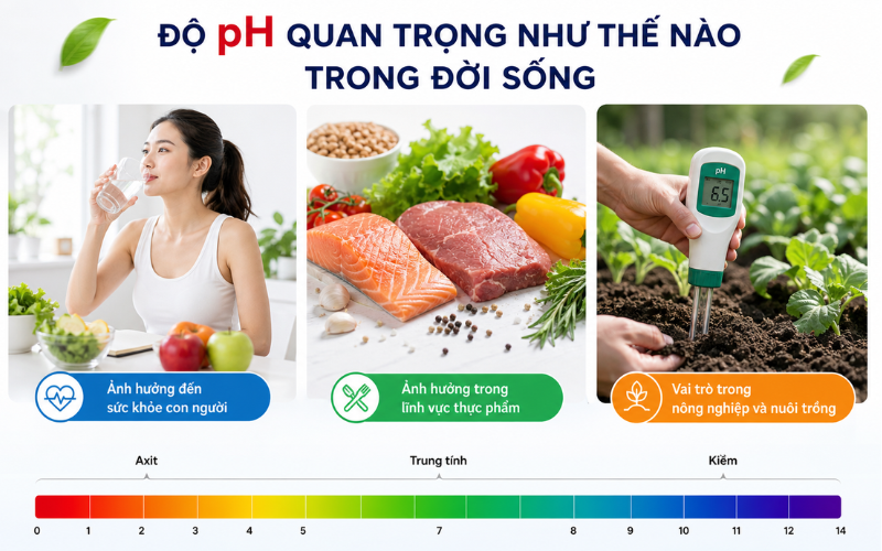 Độ pH quan trọng như thế nào trong đời sống