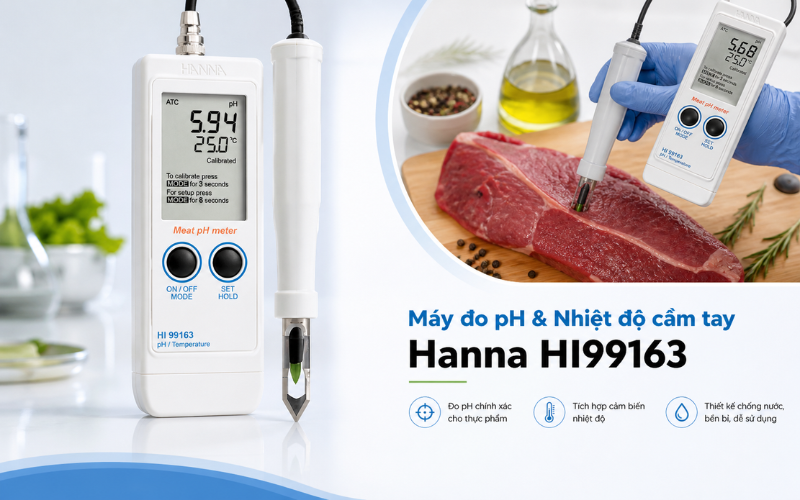 Máy đo pH và nhiệt độ cầm tay Hanna HI99163