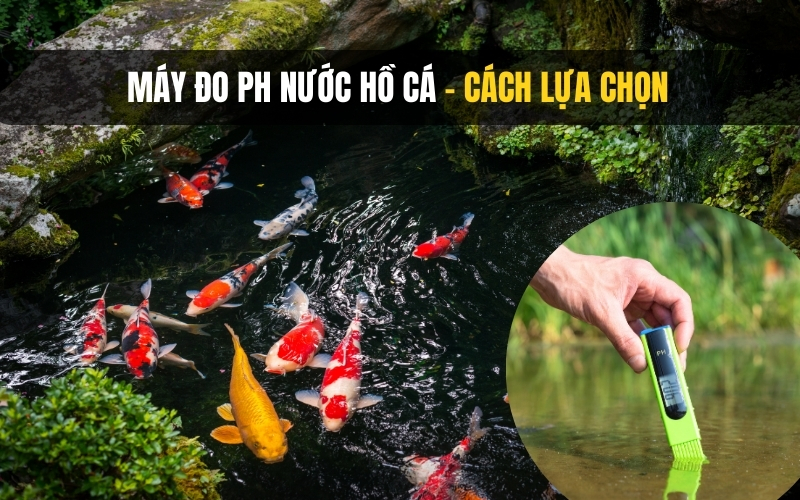 Máy đo PH nước hồ cá - cách lựa chọn
