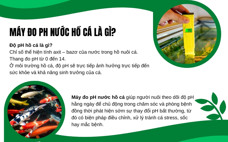 Máy đo pH nước hồ cá là gì