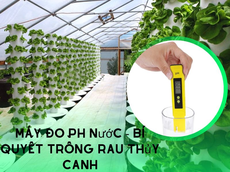 Máy đo pH nước – bí quyết giúp dung dịch thủy canh luôn chất lượng