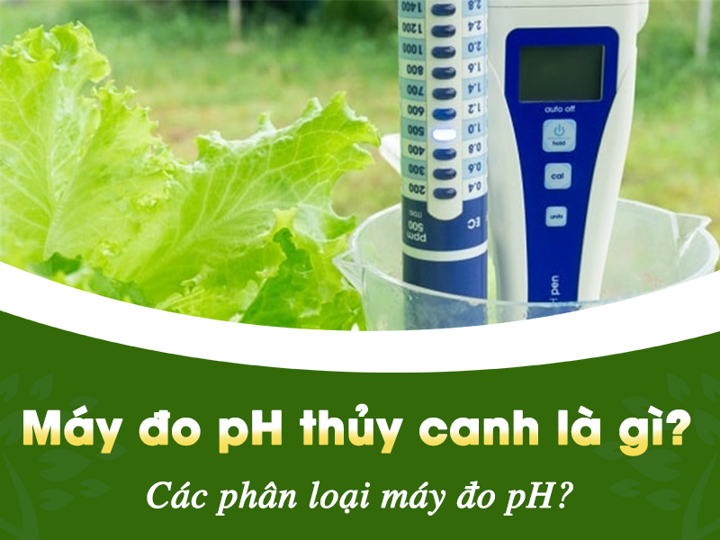 Máy đo pH thủy canh là gì? Cách phân loại máy đo pH
