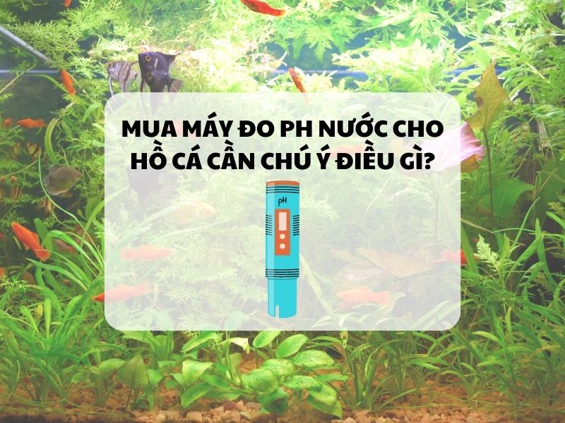 Mua-may-do-ph-nuoc-cho-ho-ca-can-chu-y-dieu-gi