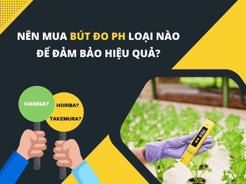 Nên mua bút đo pH loại nào để đảm bảo hiệu quả