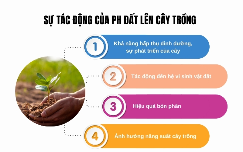 Sự tác động của ph đất lên cây trồng