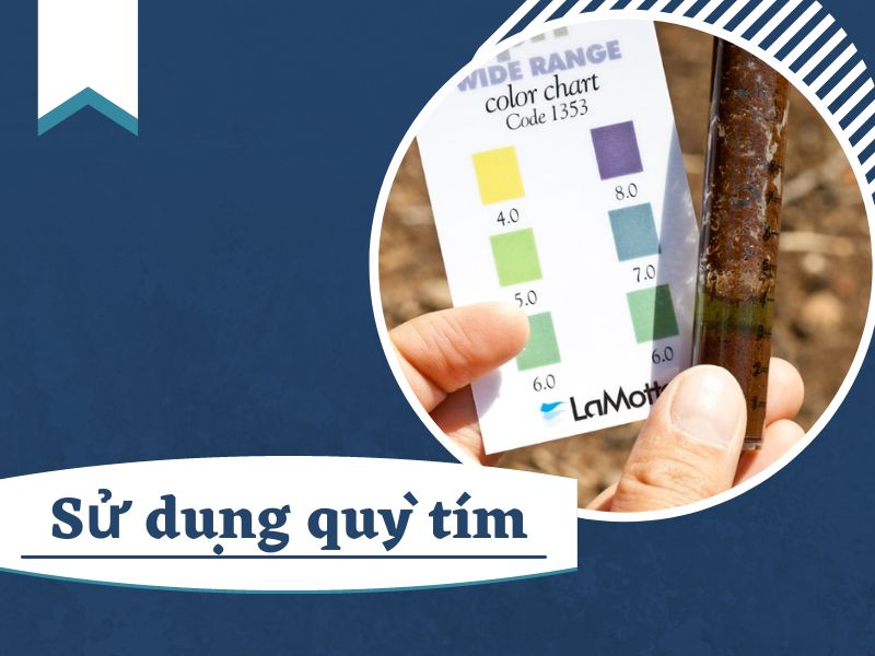 Ưu điểm của máy đo ph để bàn AD1030 so với quỳ tím