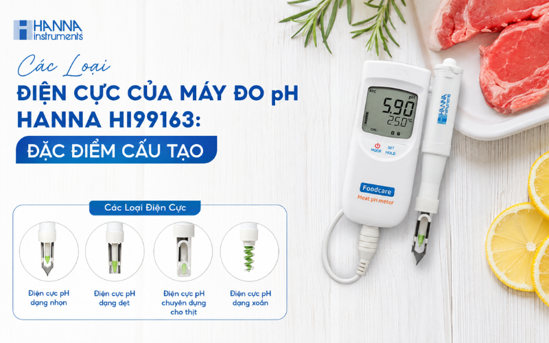 Các Loại Điện Cực Của Máy Đo pH Hanna HI99163: Đặc Điểm Cấu Tạo
