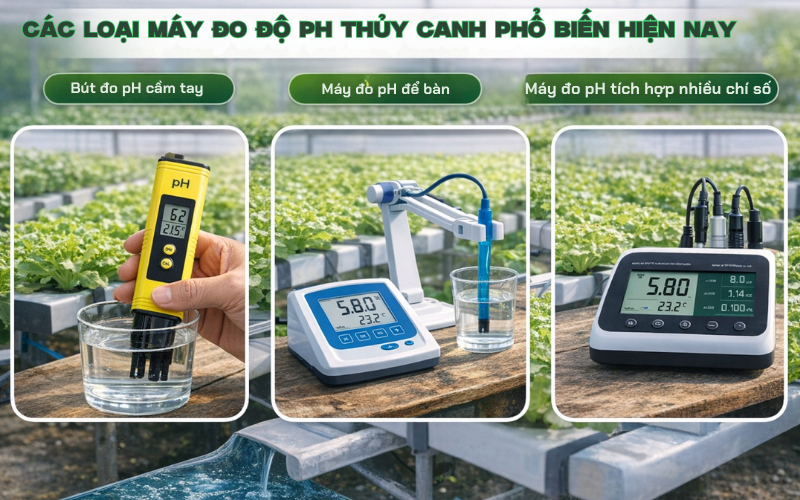 Các loại máy đo độ pH thủy canh phổ biến hiện nay