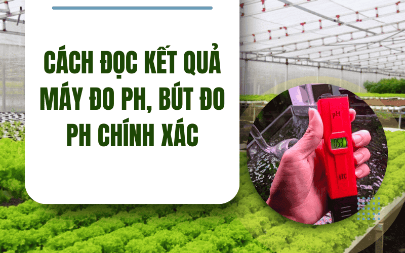 Cách Đọc Kết Quả Máy Đo PH, Bút Đo PH Chính Xác