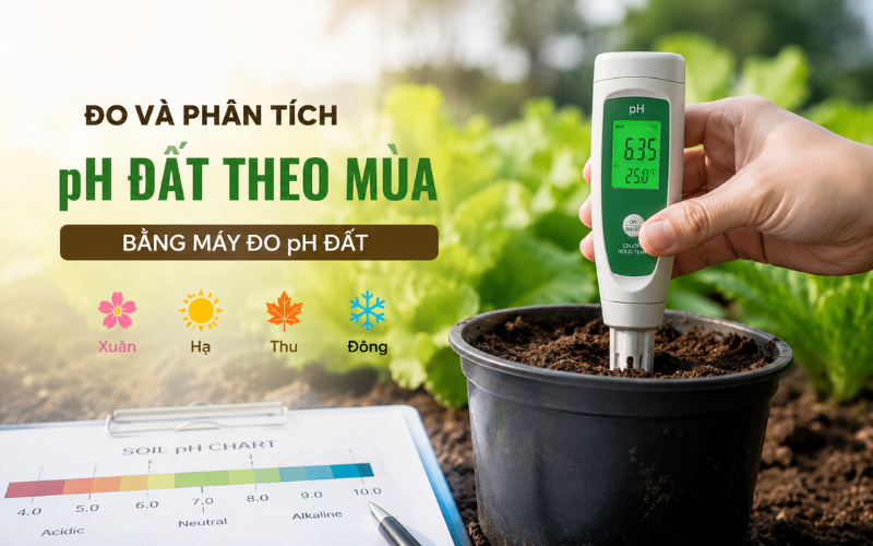 Đo Và Phân Tích pH Đất Theo Mùa Bằng Máy Đo pH Đất
