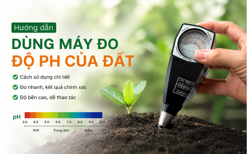 Hướng dẫn dùng máy đo độ ph của đất chi tiết