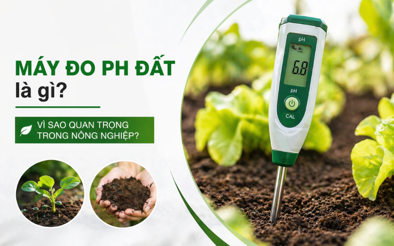 Máy đo ph đất là gì? Vì sao quan trọng trong nông nghiệp?