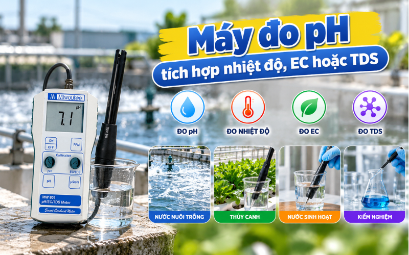 Máy đo pH cầm tay tích hợp nhiệt độ, EC hoặc TDS