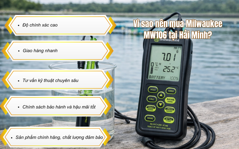 Máy đo Ph/mV/ Nhiệt độ cầm tay điện tử MW106