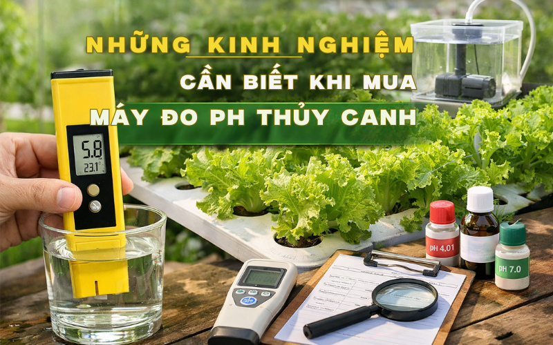 Những Kinh Nghiệm Cần Biết Khi Mua Máy Đo pH Thủy Canh 