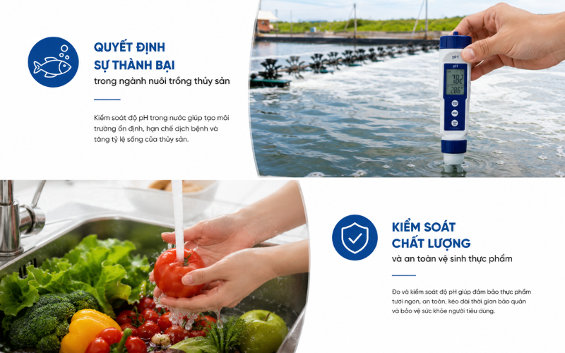 Quyết định sự thành bại trong ngành nuôi trồng thủy sản