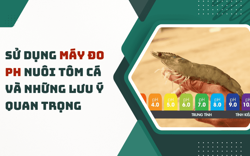 Sử Dụng Máy Đo PH Nuôi Tôm Cá Và Những Lưu Ý Quan Trọng