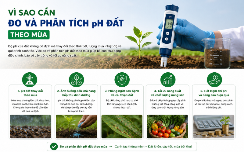 Vì sao cần đo và phân tích pH đất theo mùa